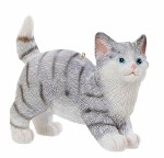 GRAY CAT