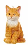 SITTING ORANGE CAT