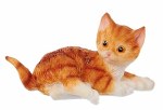 ORANGE CAT
