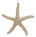 STARFISH SHELL