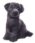 BLACK LAB