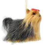 YORKSHIRE TERRIER