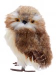 BARN OWL