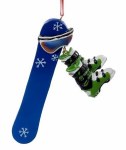 SNOWBOARD