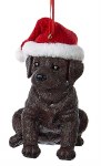 CHOCOLATE LABRADOR W/HAT