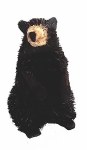 BRUSH BLACK BEAR