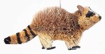 RACCOON