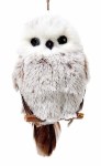 FUZZY OWL