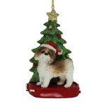 BROWN/WHITE SHIH-TZU WITH TREE