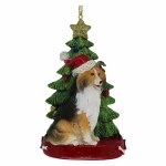 SHETLAND SHEEPDOG WITH TREE