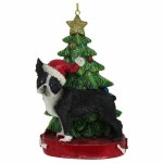 BOSTON TERRIER WITH TREE