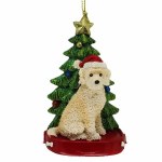 BEIGE LABRADOODLE WITH TREE