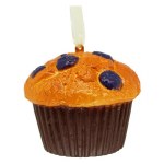 BLUEBERRY MUFFIN