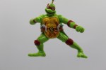 RAPHAEL