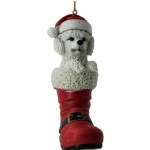 WHITE POODLE IN BOOT