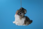 FURRY RABBIT