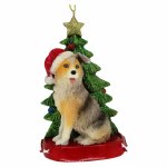 AUSTRALIAN SHEPARD WITH  TREE