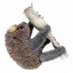 BRUSH SLOTH