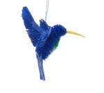 BLUE BRUSH HUMMINGBIRD
