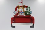 CORGI IN BACK OF TRUCK