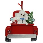 WHITE POODLE IN BACK OF TRUCK