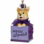 ROYALLY SPOILED DOG IN BOX