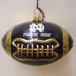 NOTRE DAME FIGHTING IRISH FOOTBALL