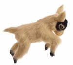 TAN BABY GOAT