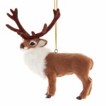 BUCK