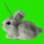 WHITE FURRY BUNNY