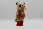 BRUSH RACCOON