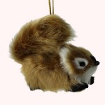 FURRY SQUIRREL