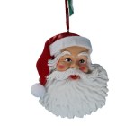 SANTA HEAD