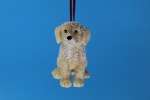 GOLDENDOODLE