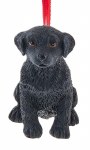 DOG LAB RETRIEVER