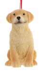 DOG LABRADOR RETRIEVER