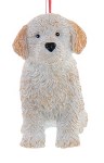 LABRADOODLE