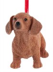 DOG DACHSHUND