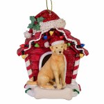 YELLOW LABRADOR RETRIEVER