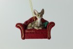 DEVON REX