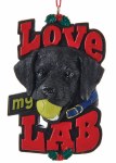 LOVE MY LAB