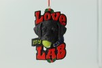 LOVE MY LAB