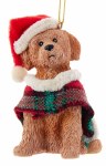 BROWN LABRADOODLE DOG