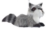 LEFT LOOKING RACCOON