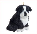 BOSTON TERRIER