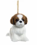 BROWN SHIH TZU