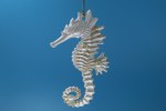 WHITE SEAHORSE