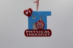 #1 PHYSICAL THERAPIST
