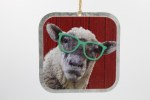 SHEEP W/ GLASSES