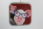 PIG W/ GLASSES